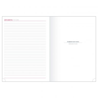 Ежедневник датированный 2024 А6+  -12