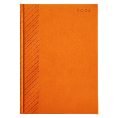 Ежедневник датированный 2024 А5  -13