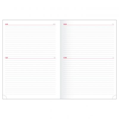 Ежедневник датированный 2024 А6+  -13