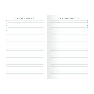 Ежедневник полудатированный  А5  -4