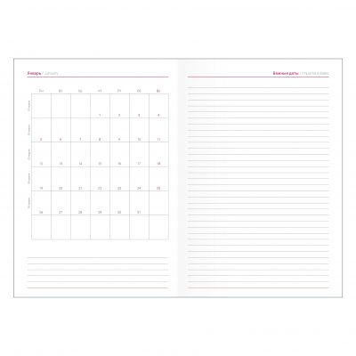 Ежедневник датированный 2026 14х20  -5