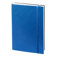 Ежедневник, недатированный 14х20 