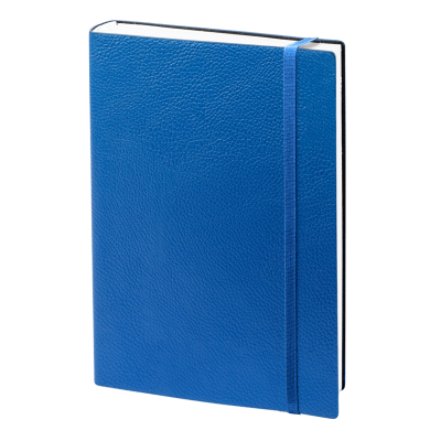 Ежедневник, недатированный 14х20  -0