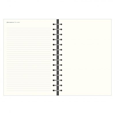 Ежедневник датированный 2024 А5  -6