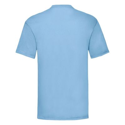 Футболка мужская VALUEWEIGHT T 165, голубой-1