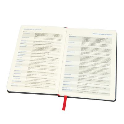 Ежедневник недатированный RAY, формат А5, в клетку, черный, красный-2