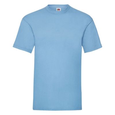 Футболка мужская VALUEWEIGHT T 165, голубой-0