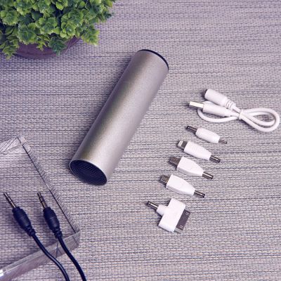 Колонка проводная 'Soundcheck' с пауербанком 2200mA с набором переходников, серебристый-1