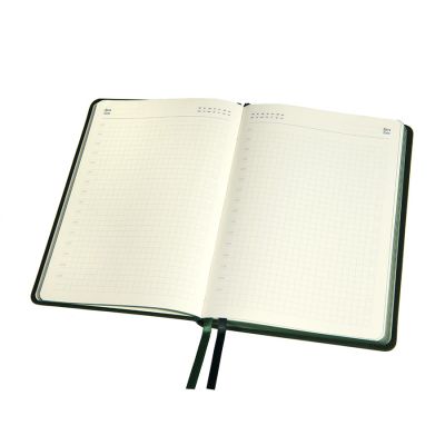 Ежедневник недатированный Softie, А5, зеленый, блок в клетку, зеленый обрез-1