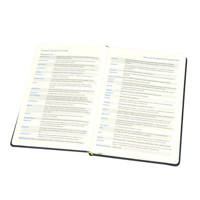 Ежедневник недатированный RAY, формат А5, в клетку, черный, лаймовый-2