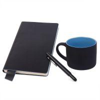 Подарочный набор DAILY COLOR: кружка, бизнес-блокнот, ручка с флешкой 4 ГБ, черный/голубой, черный, голубой