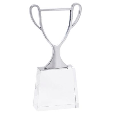 Стела 'Чемпион' в подарочной упаковке, серебристый-0