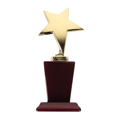 Стела 'Звезда', желтый, коричневый-0