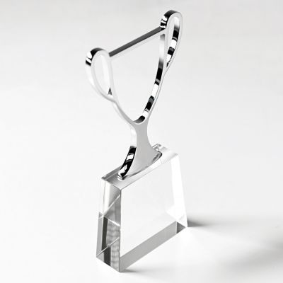 Стела 'Чемпион' в подарочной упаковке, серебристый-1