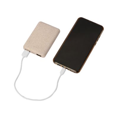 Портативное зарядное устройство Wheatty, 5000 mAh-1