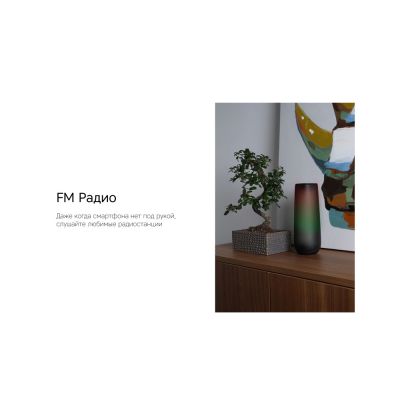 Портативная колонка TWS mySound Disco, 16 Вт-11