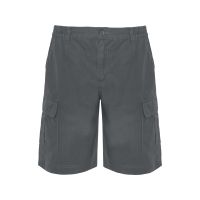 Шорты Armour, свинцовый