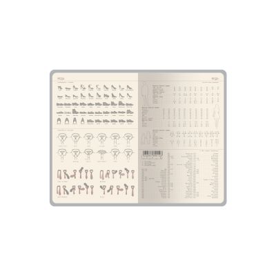 Ежедневник недатированный А5 Soho, синий-7