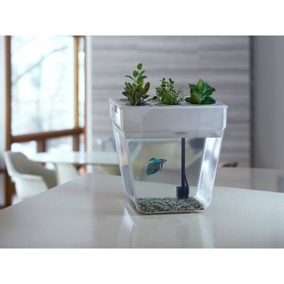 Набор для выращивания растений и ухода за рыбкой Акваферма-4