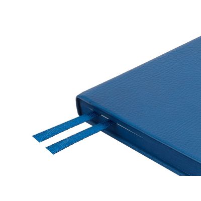 Ежедневник А5 датированный Megapolis Nappa на 2026, синий-4