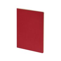 Бизнес-тетрадь А4 Pragmatic,  40л., клетка, красный