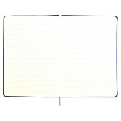 Набор для записей Альфа А5, синий-5