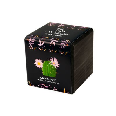 Набор для выращивания Small village cube Эхиноцереус-0