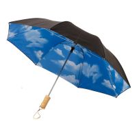 Зонт Blue skies 21 двухсекционный полуавтомат, черный