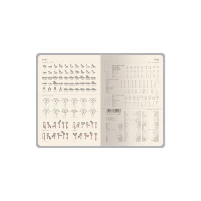 Ежедневник недатированный А5  La Manche, темно-синий-8