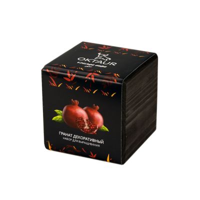 Набор для выращивания Small village cube Гранат комнатный-0