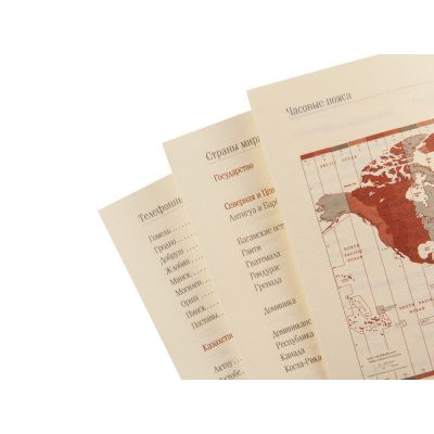 Еженедельник недатированный А5 Concept, оранжевый-4