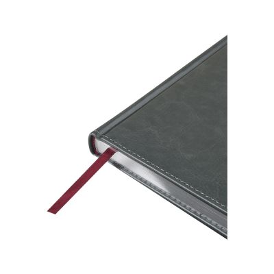 Ежедневник недатированный А5 Sidney Nebraska, серый (серебряный обрез)-1