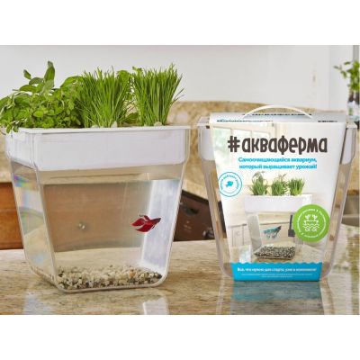 Набор для выращивания растений и ухода за рыбкой Акваферма-5