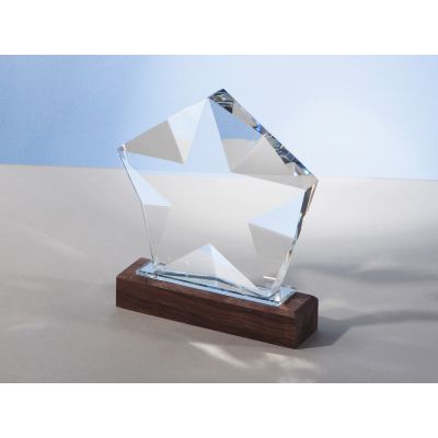 Награда Interstellar, прозрачный-2