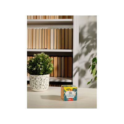 Набор для выращивания Экокуб Magicme Ель Голубая-4