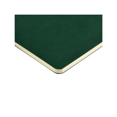 Бизнес тетрадь А5 Megapolis flex 60 л. soft touch клетка, зеленый-2