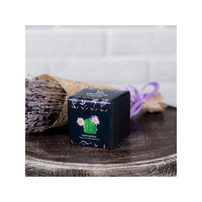 Набор для выращивания Small village cube Эхиноцереус-2