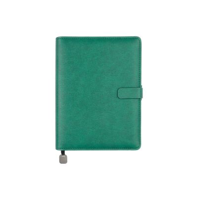 Ежедневник недатированный B5 Toscana, зеленый-1
