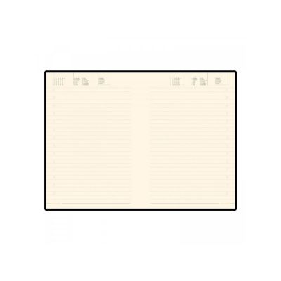 Ежедневник недатированный B5 Tintoretto New, бордовый-2