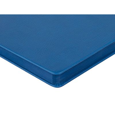 Ежедневник А5 датированный Megapolis Nappa на 2026, синий-5