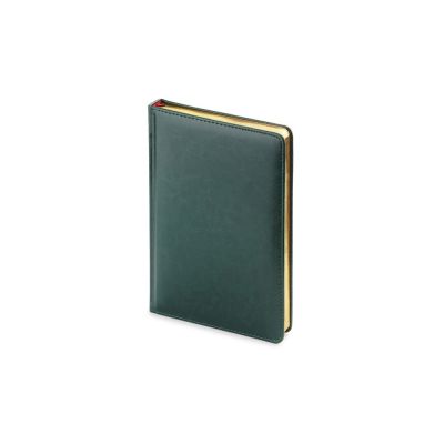 Ежедневник А5 датированный Sidney Nebraska 2026, зеленый (золотой обрез)-0