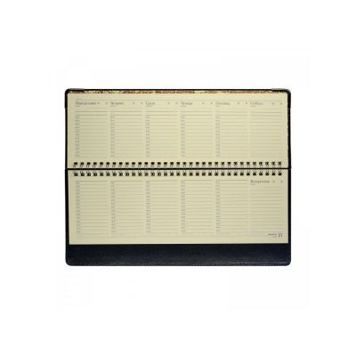 Планинг гр. Persona (синий)-3