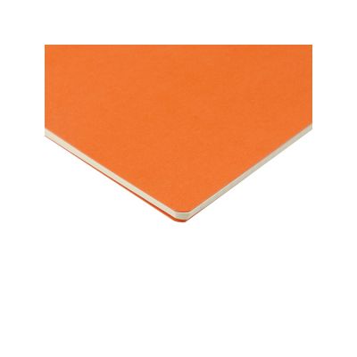 Бизнес-тетрадь А4 Pragmatic,  40л., клетка, оранжевый-3