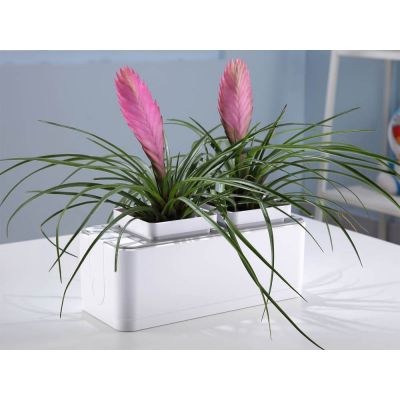 Компактный смарт-сад iGarden-5