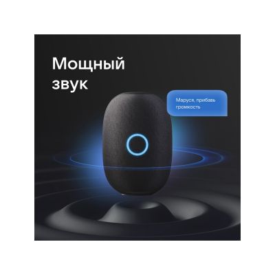 Умная колонка VK Капсула с голосовым помощником Марусей, черный-6
