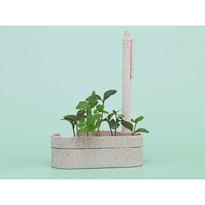 Набор для записей с семенами ромашки Patio-2