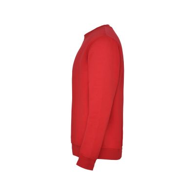 Свитшот с начесом Clasica унисекс, красный-2