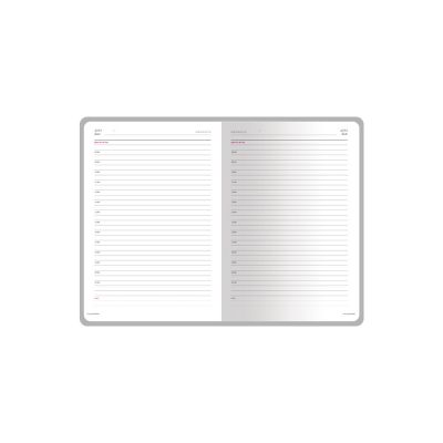 Ежедневник недатированный А5+ Magnum, коричневый-3