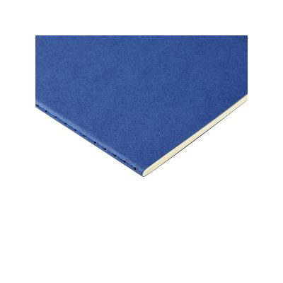 Бизнес-тетрадь А4 Pragmatic,  40л., клетка, синий-2