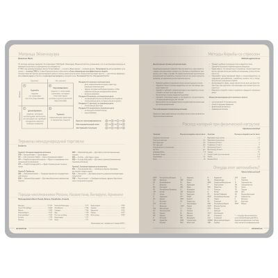 Ежедневник А5 датированный Megapolis Color 2026, серый-6